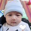 umsy094
