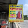 💫 Cầy Quay Cây Bàng 💫 ✅
