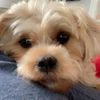 codycuddles20