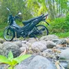 prince_dhel.12