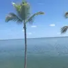 bettingbaker305