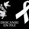 manuelarmandorosalesmol2