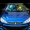 206cc_galle