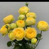 nguyn.phng5738
