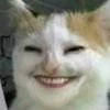 boboteaofficial7