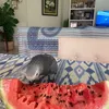 moscatata