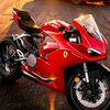 walid_alaa27