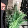 رُقية