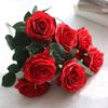 basmat_alward