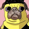 yeto_pug_15