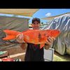 blanchies_fishing