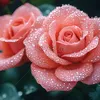 La fleur 🇫🇷وردة الجزائرية16