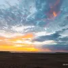 tizi_1721