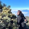 brigitiwi