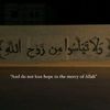 sara_ahmed642