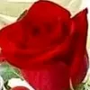 myrashko3105
