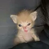 uu.uu_3