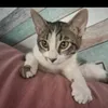 paqui6599