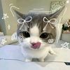 nazwaasyffa_