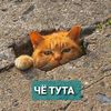 user2583005803253