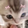 jaehyunyunoh