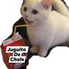 unavozmas63