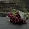 i.mar_9