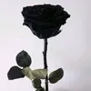 4yudhy4