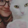 sinaandcats