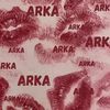arkanaaa_3