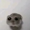 liviaxzwz_