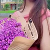 1259bichngoc