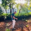 ammarmohammad9530