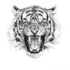 dayak867