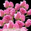 housseintarraf0