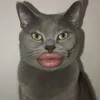 ntnghia_bin