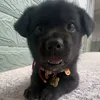 itzzvy_phw10