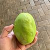 dobleh_longor