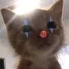 mxixmm