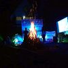 senja31l