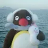 hhquntedd