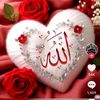 mohmmadsubhan25