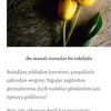 meriyem_axundzade