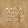 faisalalotibi_94