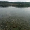 karppro_