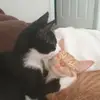 plntluvr