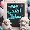 ahmedhussain613