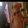 eduardo_cortes_1