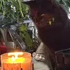 bettyknight5