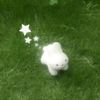 jsungg__